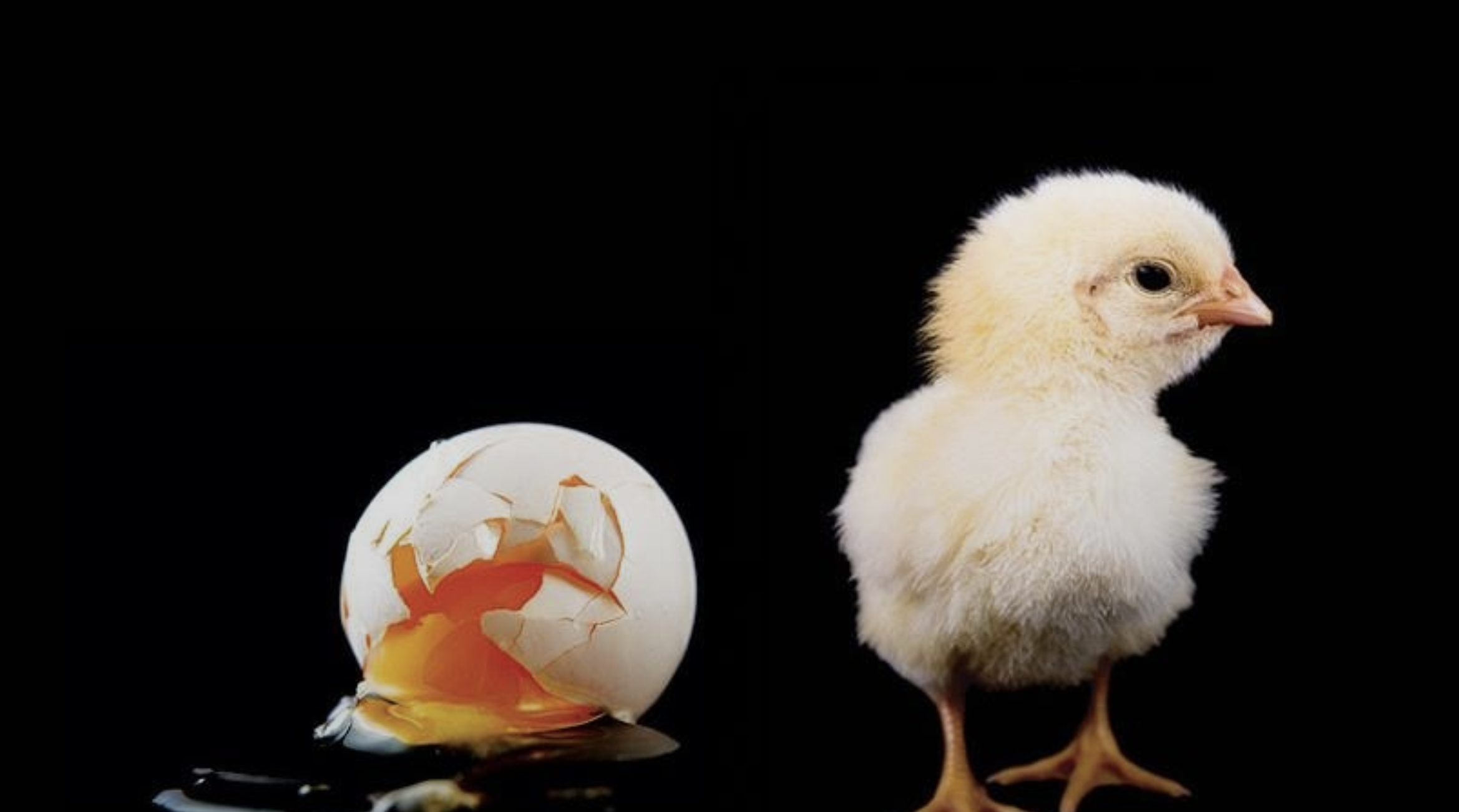 48 Choice between ‘Great Attrition’ or ‘Great Attraction’